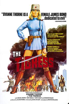 SEO云优化营商环境